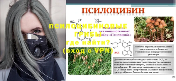 каннабис Инта