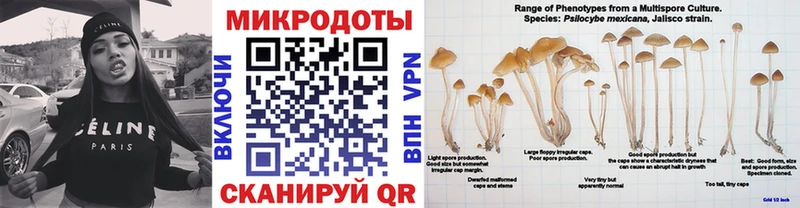 Галлюциногенные грибы мицелий  Купить  Долинск 