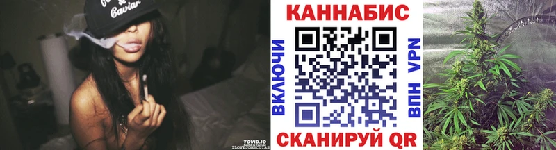 Бошки Шишки планчик Долинск